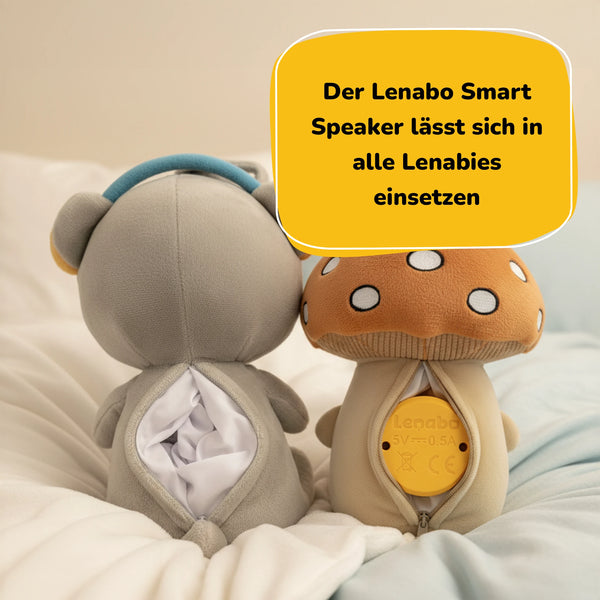 2er Bundle - Aaron + Felix & Lenabo Smart Speaker